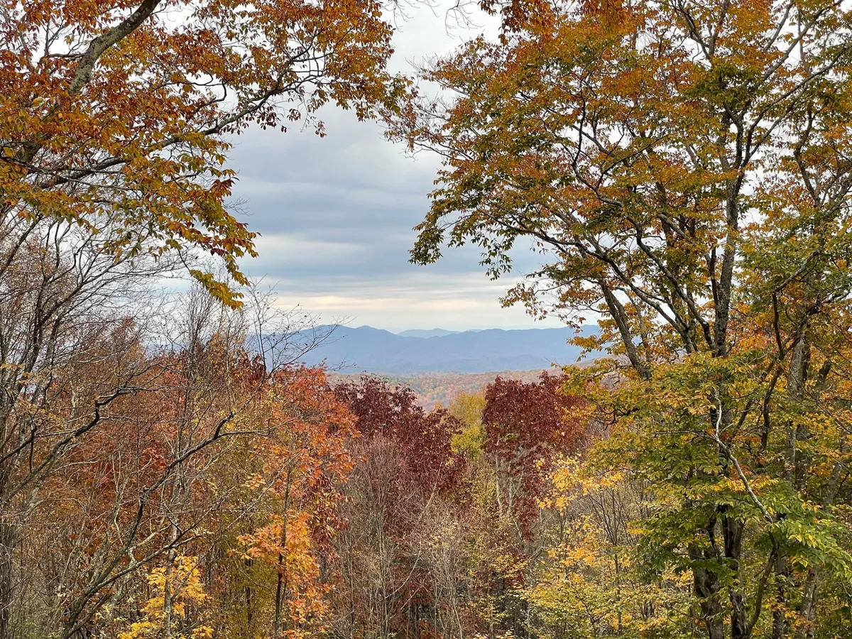 A sweeping view of rolling mountains adorned with vibrant fall foliage and a soft overcast sky. The landscape invites exploration, with visible hiking terrain and untouched woodland, perfect for nature photography and outdoor adventures.