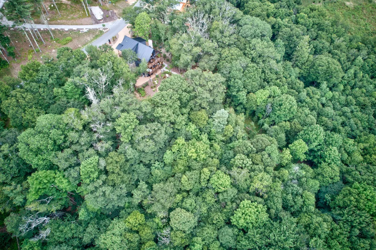 An aerial or elevated view of a peaceful, isolated house nestled amidst a dense tree canopy, with a winding road leading toward the property. The scene radiates tranquility, privacy, and immersion in nature—ideal for distraction-free work and exploration.